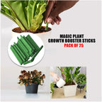 Plant Growth Fertilizer Sticks Buy 1 Get 1